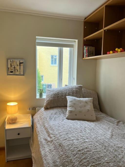Charming 3 Bedroom Apartment Akureyri Exterior foto